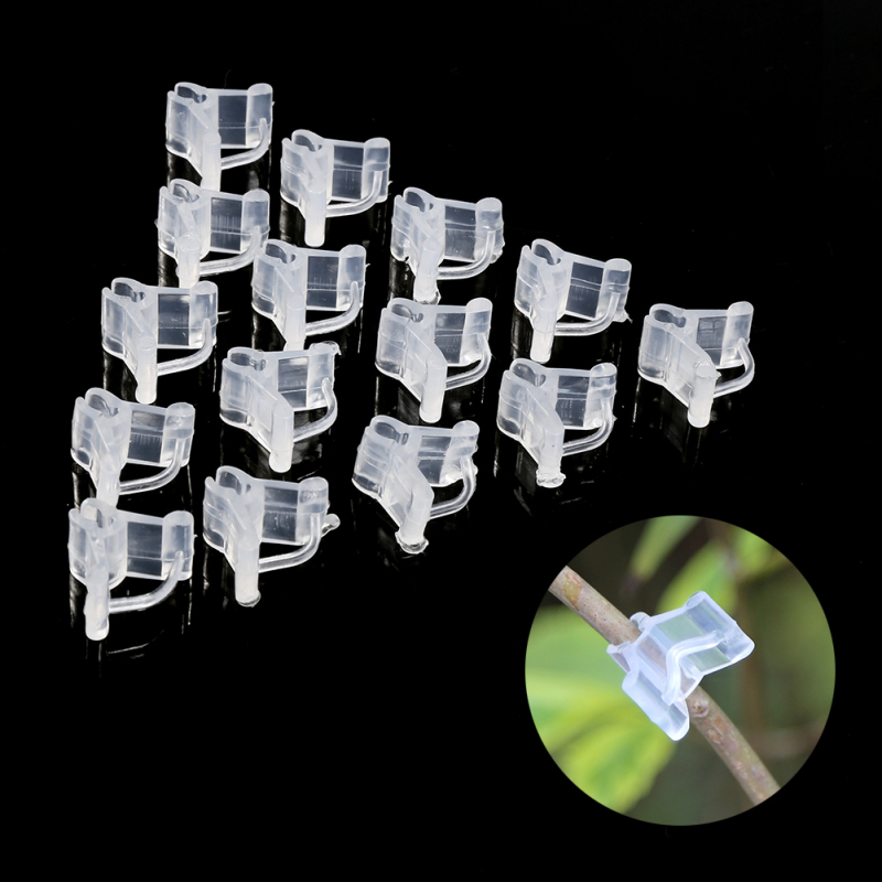 Clips de greffage en plastique - lot de 100