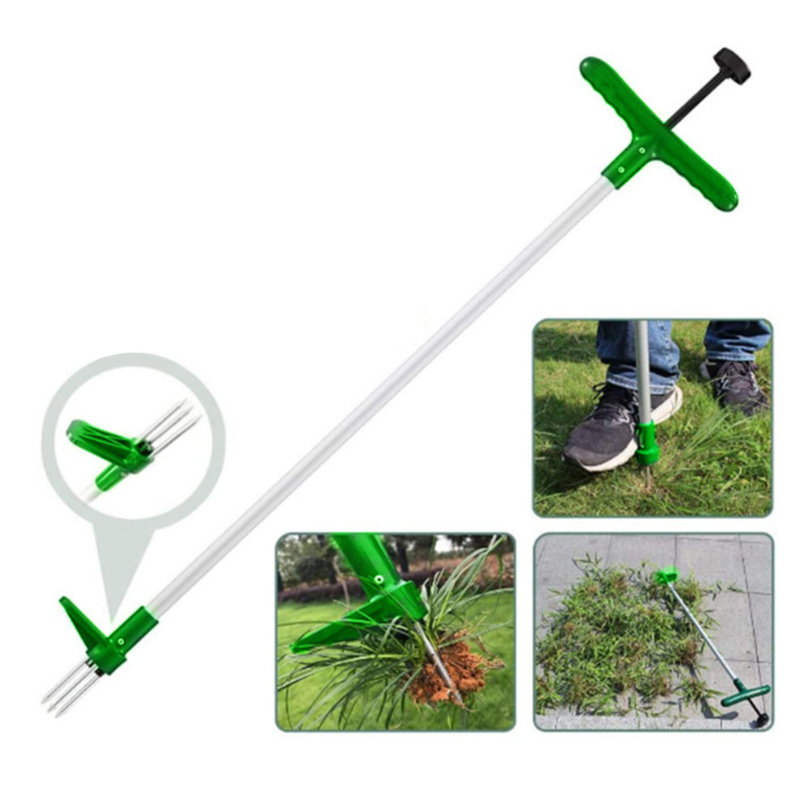 Arrache mauvaises herbes désherbeur - vue d'ensemble outil de jardin