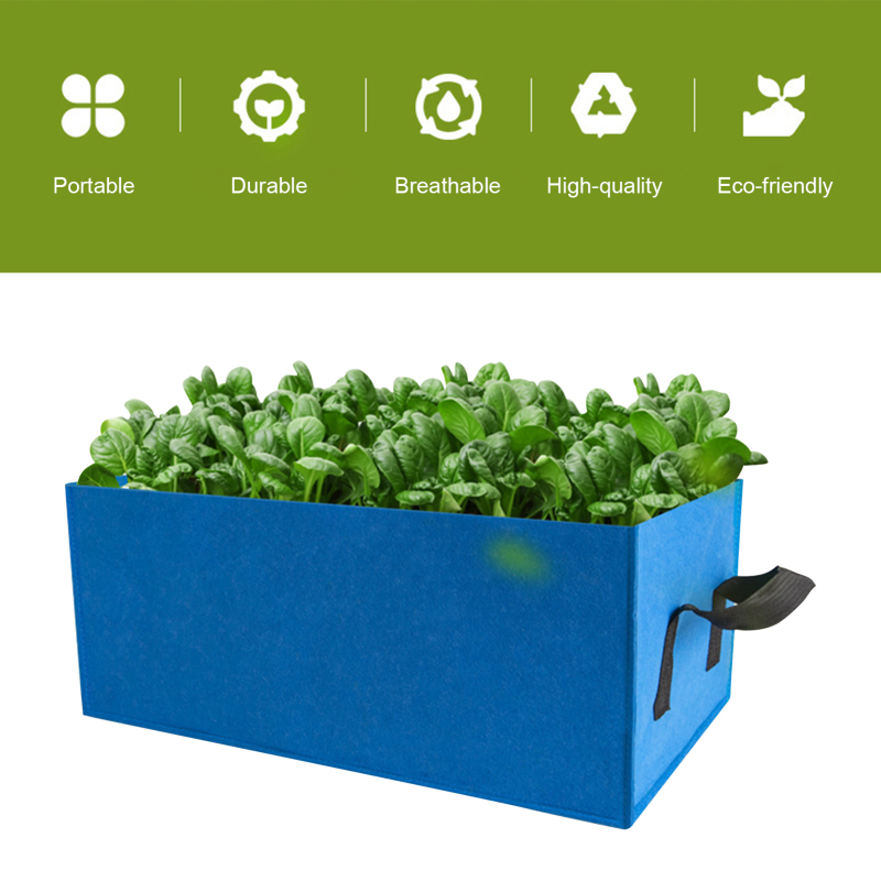 Application - jardin sur terrasse en béton
