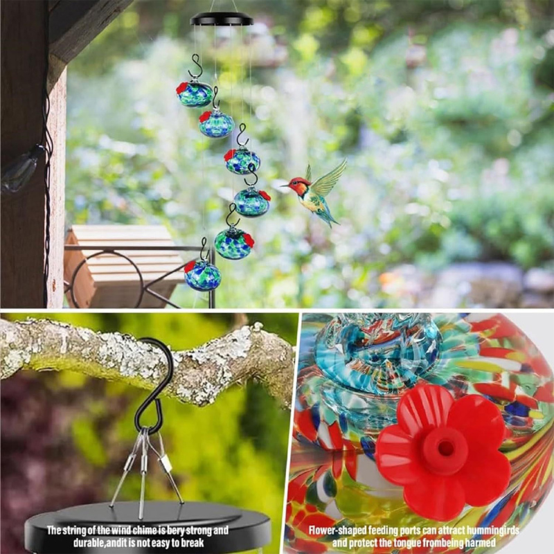 Colibri se nourrissant mangeoire rouge
