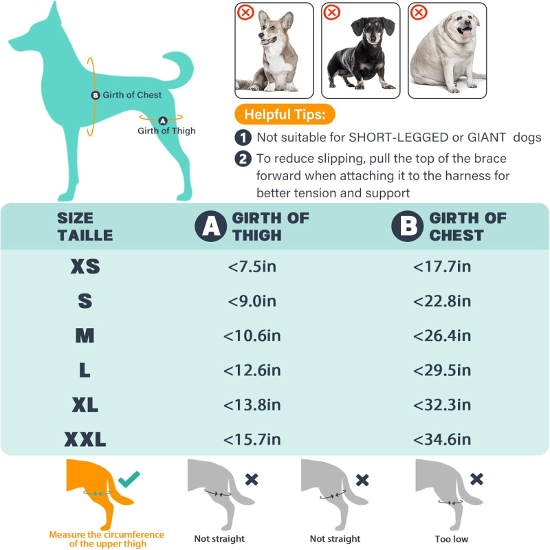 Attelle de genou pour chien Irovami taille XXL - vue complète