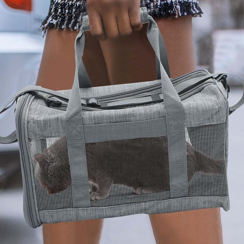 Chat dans le sac de transport Irovami - utilisation pratique