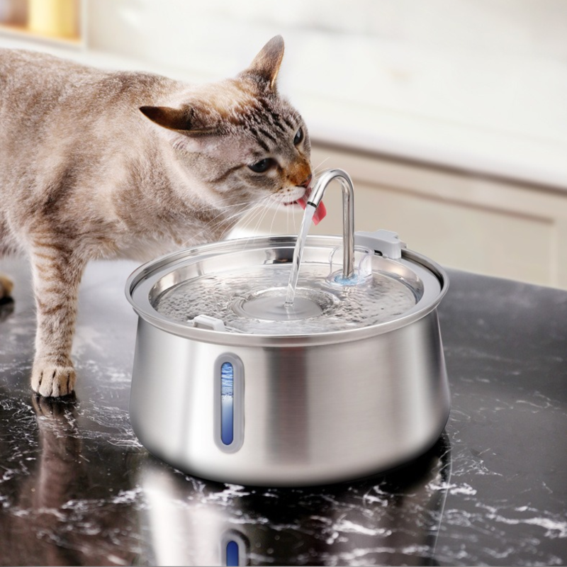 Fuente de agua para gatos con filtración y circulación de agua