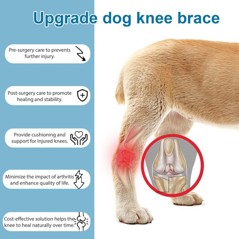 Détail de l'attelle de genou pour chien Irovami
