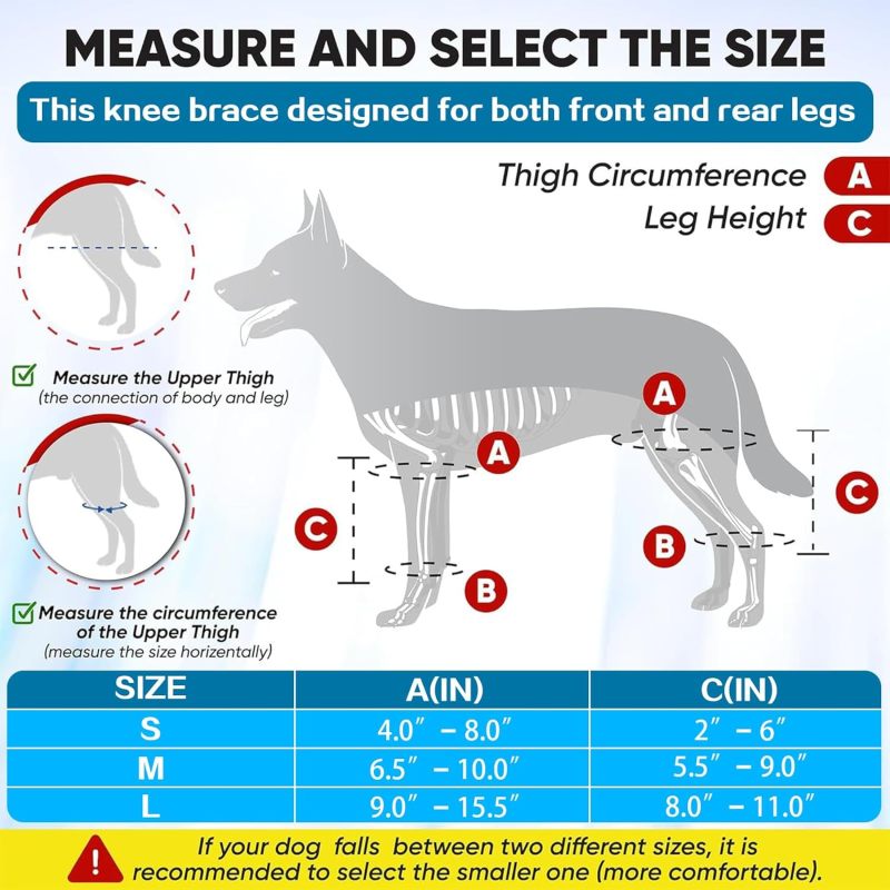 Irovami attelle de genou pour chien petite taille vue générale